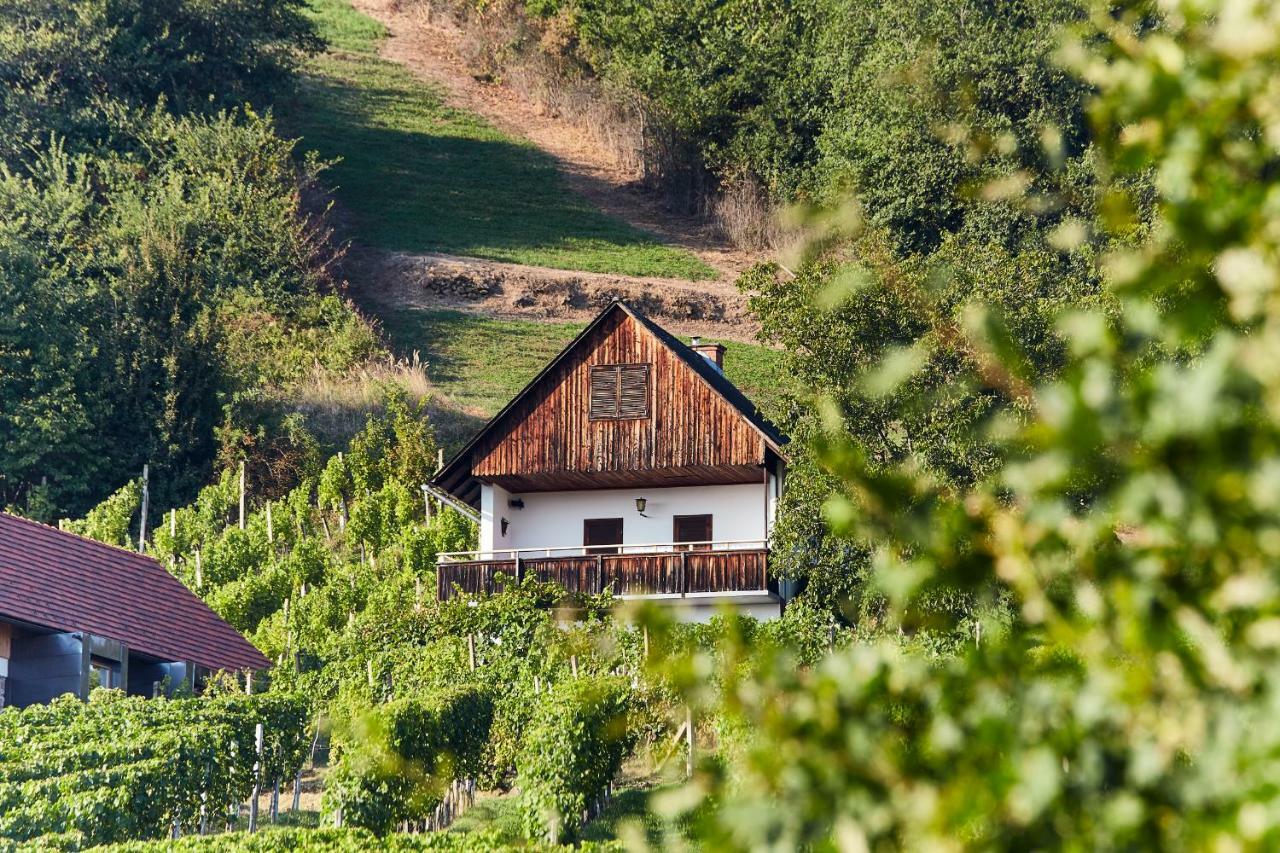 Weinberg Lodge - Kellerstöckl Klöch Exterior foto